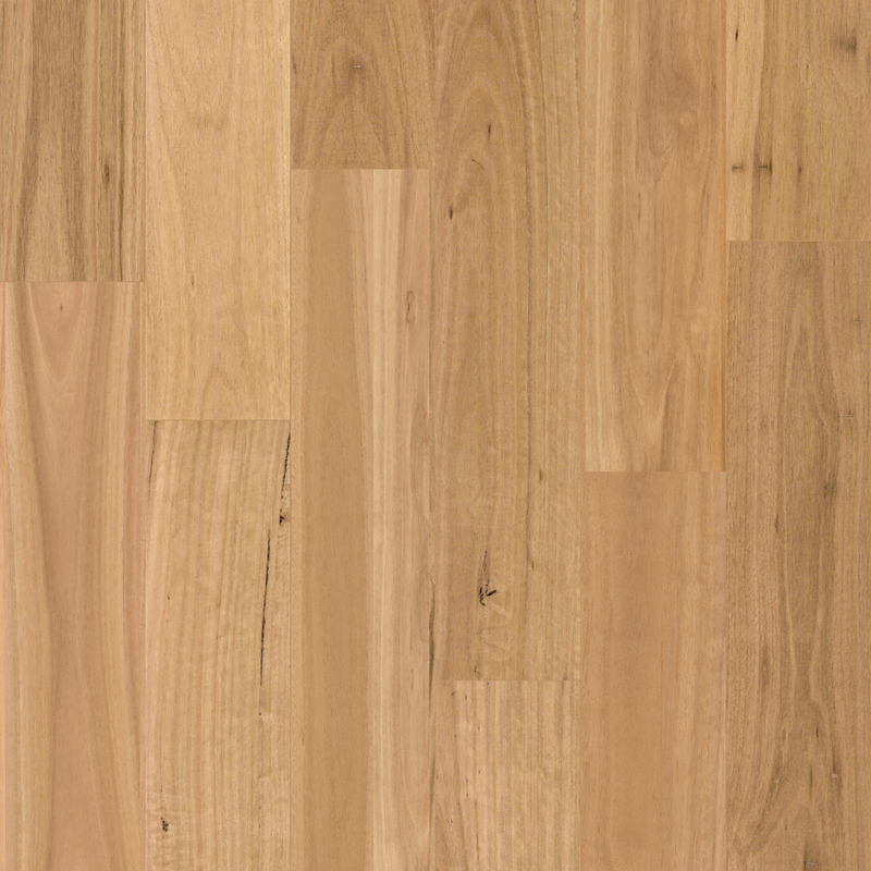 Blackbutt Timber Flooring 14mm - Engineered 14/3 Australian Timber Flooring