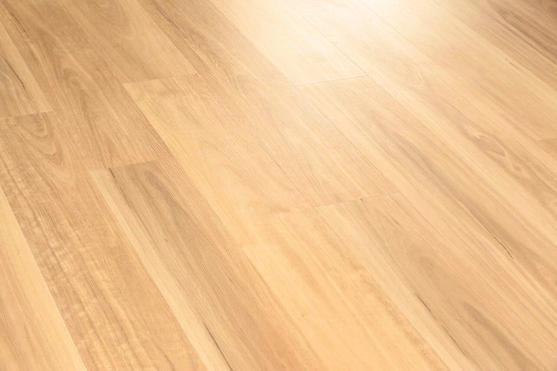 Coastal Blackbutt - 9mm Premium Hybrid Flooring